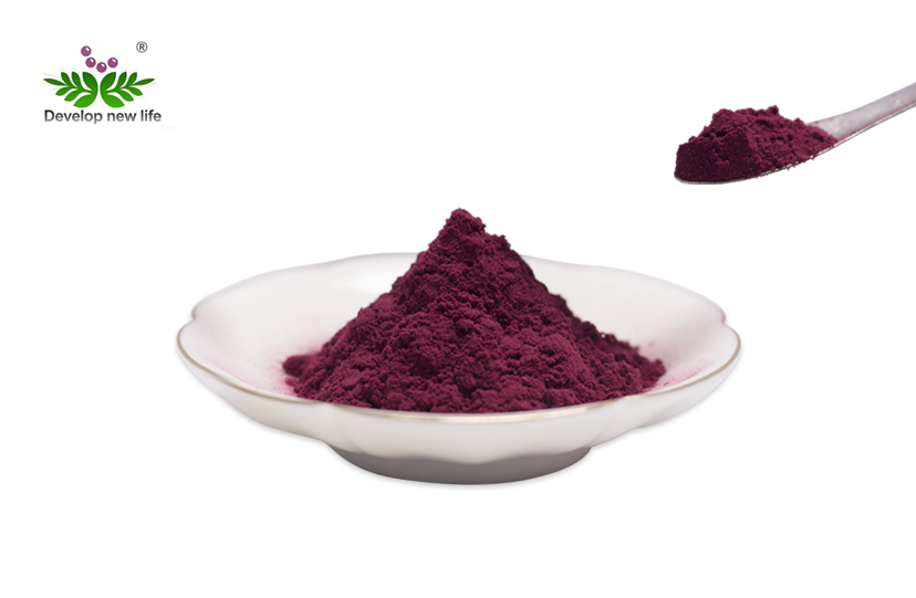 Bilberry Extract Powder